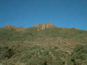 Agulhas Negras - National Park Of Agulhas Negras
