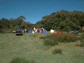 Agulhas Negras - National Park Of Agulhas Negras