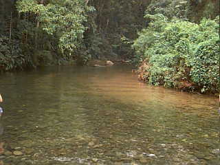 Ilha Bela - Castelhanos Beach Way