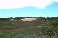 Florianopolis - Dunas para Joaquina