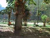 Rodrigo de Freitas Lagoon - Ciclovia (Lagoa)