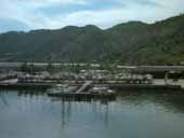 Niteroi - Naval Club